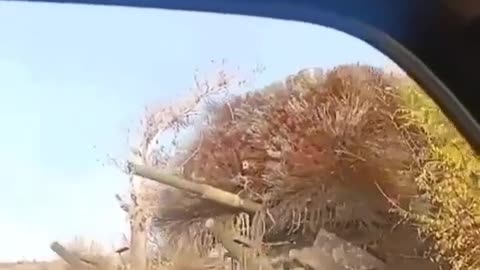 🛡️ RU POV: Russian Tank with Hedgehog Protection on Ukraine Frontlines | RCF