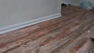 Tenants SHOWED UP… I Changed The Locks ANYWAY 😤🔐🏠