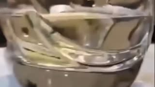 Shocking Tap Water Experiment