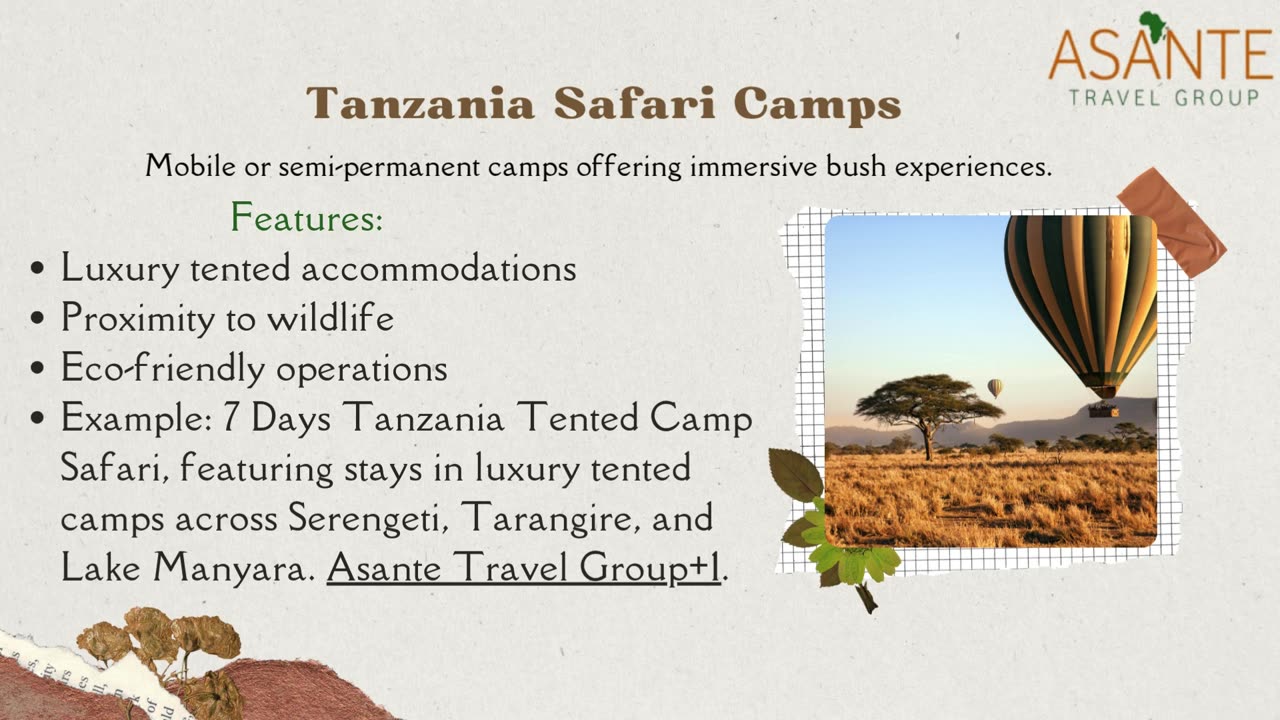 Experience Tanzania with Asante Travel Group