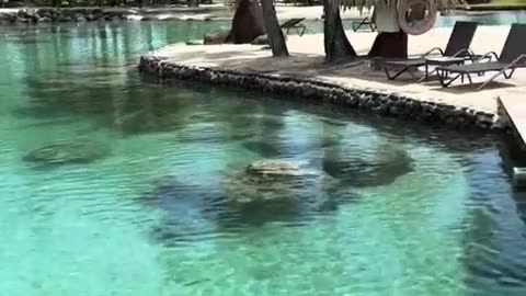 Discover Tahiti: Islands, Culture & Adventure