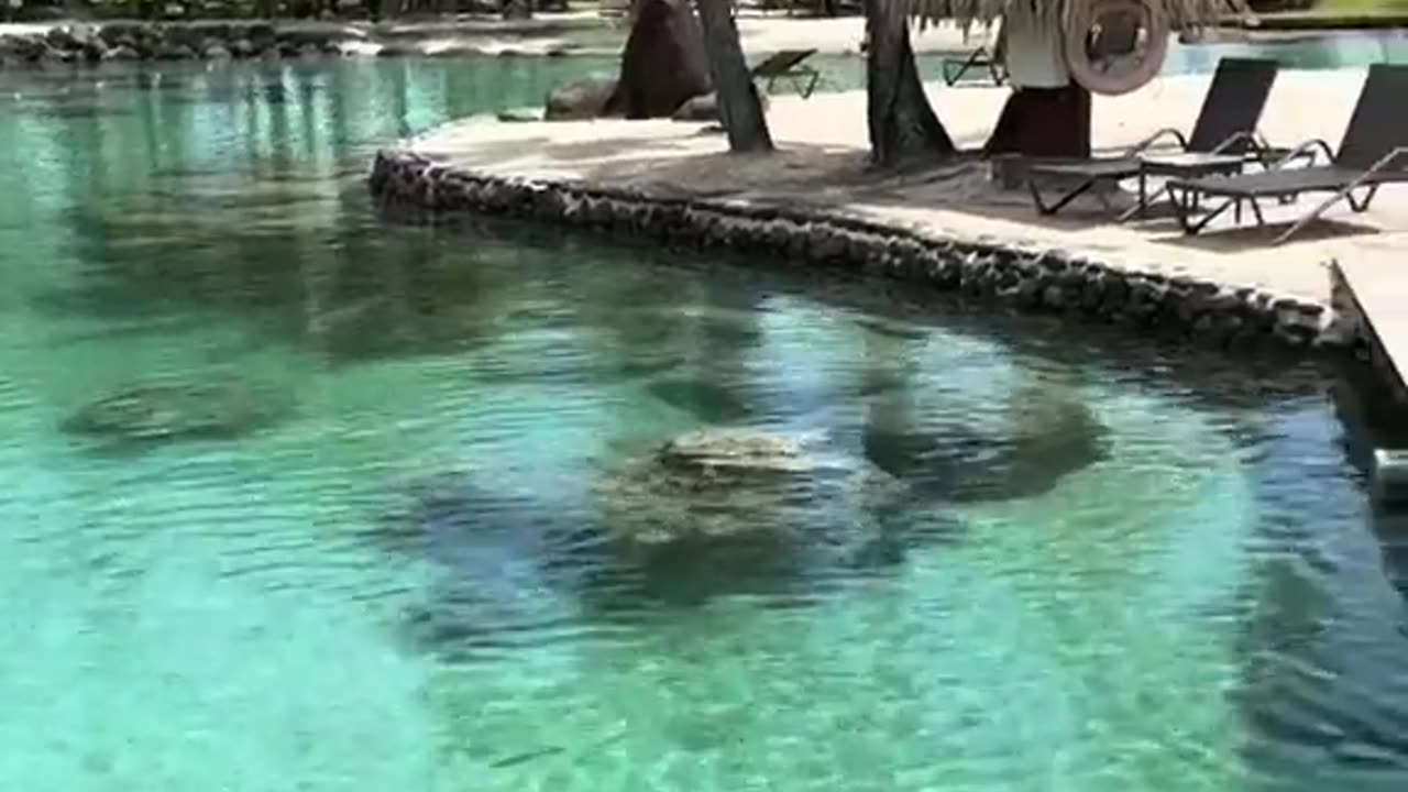 Discover Tahiti: Islands, Culture & Adventure