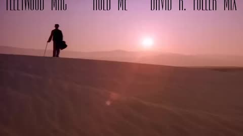 Fleetwood Mac - Hold Me (David R. Fuller Mix)