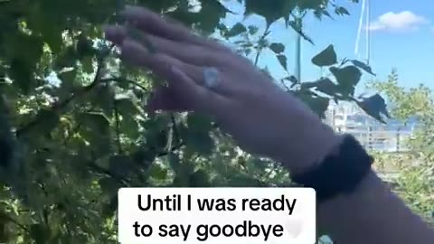 🤔🦜 You Won't Believe This Bird's Identity! | FunFM