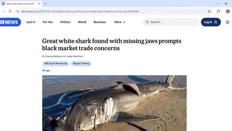 ABC story about jawless shark is comms about defanging of Cabal's apex predators