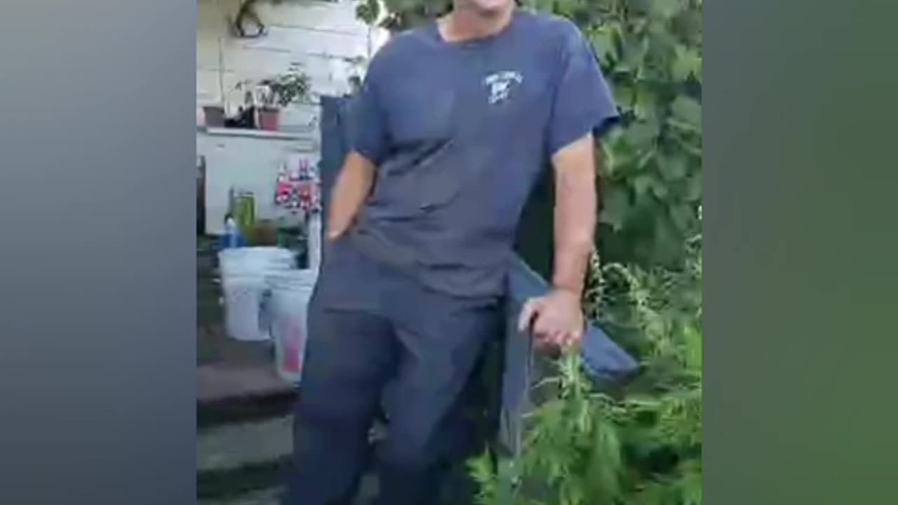 Self proclaimed "Dad bod" pred talks sexual to minors to fish for scammers!