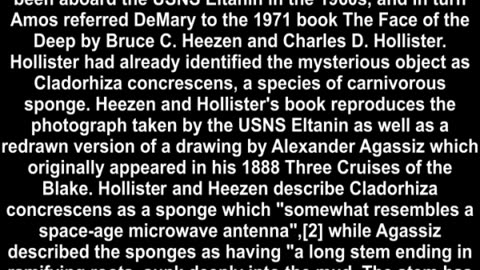 03.15.The antenm and Sinbad