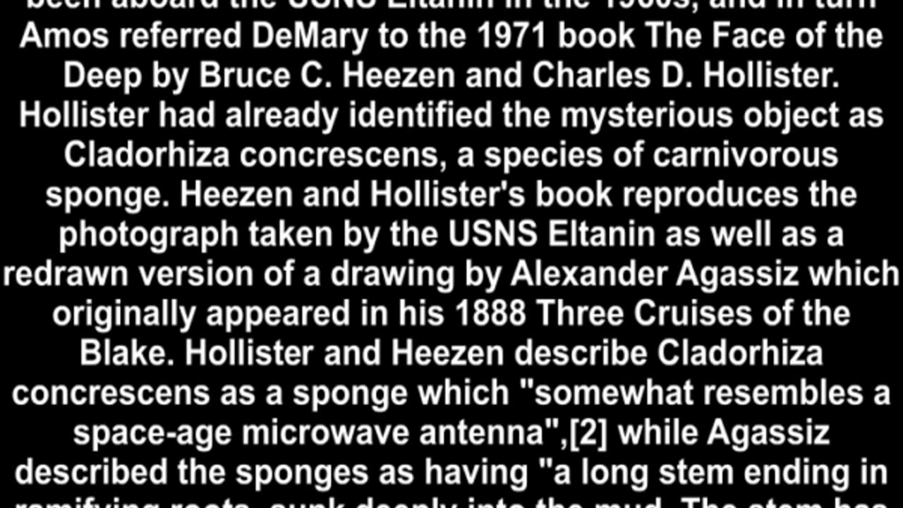 03.15.The antenm and Sinbad