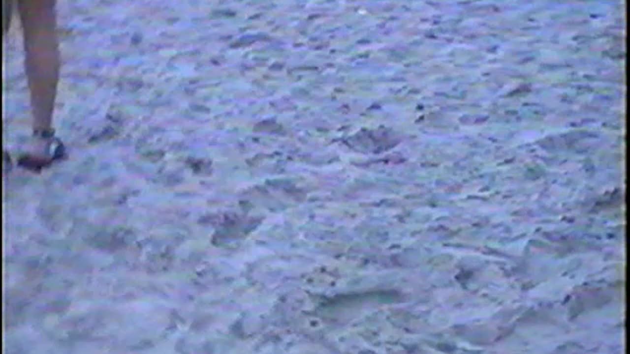 2001-SC-Beach-4
