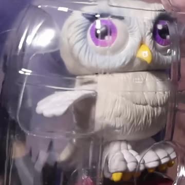 I had NO Ideas These Existed!