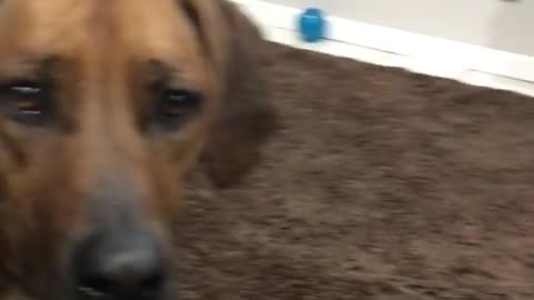 A Surprise second beggar