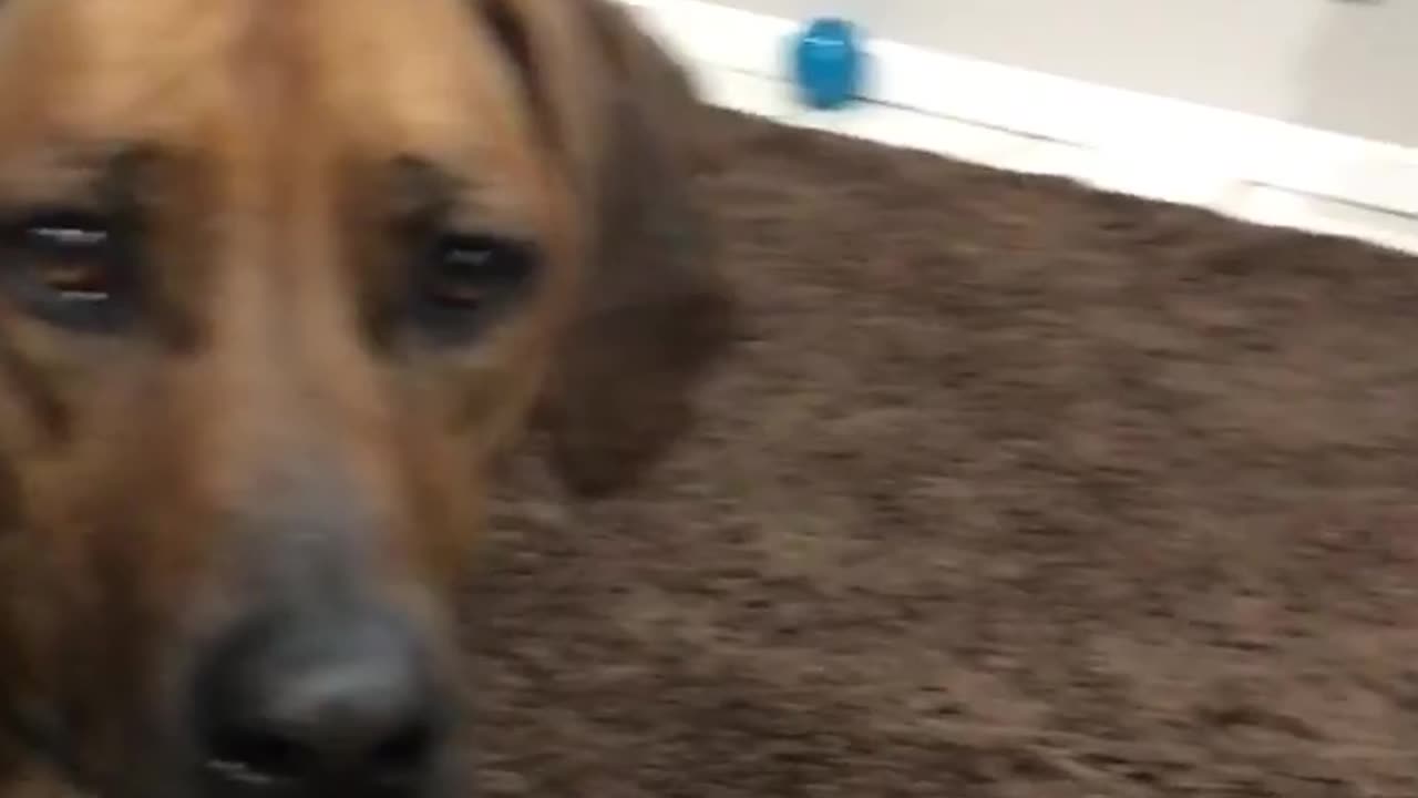 A Surprise second beggar