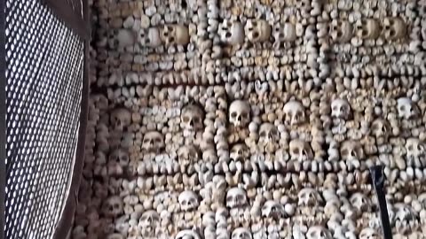 🤯✨ Discover the Bone Church of Lagos! | FeedMyCuriosity
