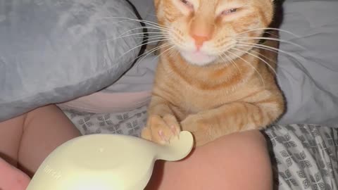 Cat Helping Woman Pump at 3am