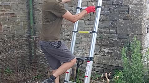 If only the workers knew what happens on rumble