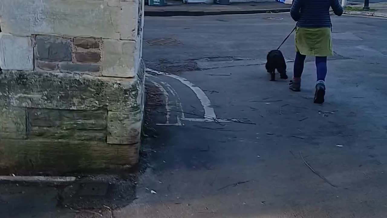 This might be where dog walkers order a mentally fuked woman's. Dog 4 breakfast