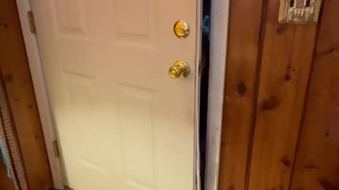 Mr. Doorman the Bear