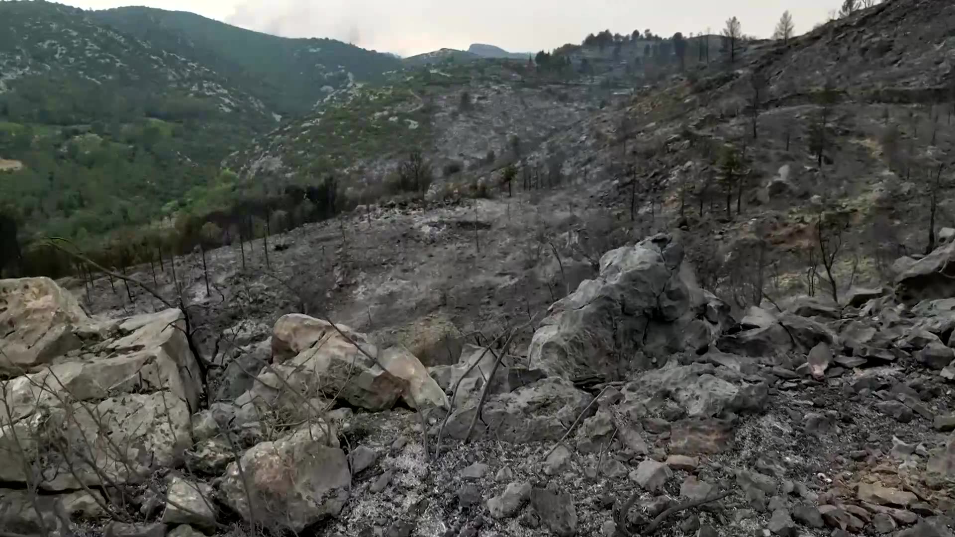 France battles largest wildfire in decades, one person killed