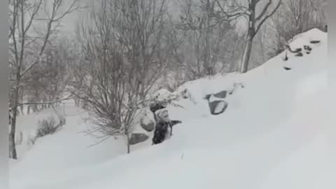 29.12.2025 - MONITORING KLIMATU