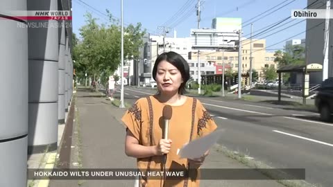 Extreme heat continues to wallop Hokkaido and Japan at large-NHK