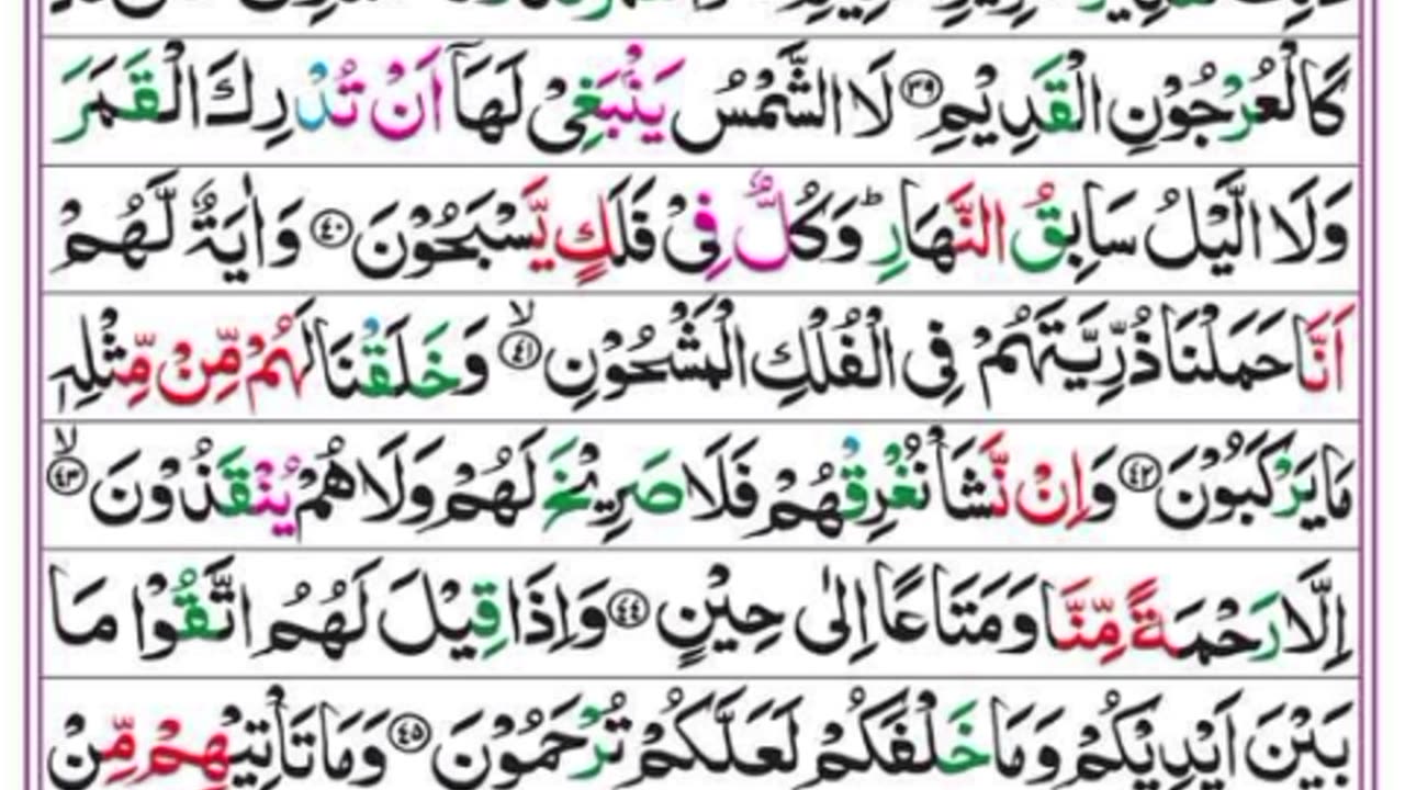 Surah Yasin Beautiful Recitation short reel / Quran Reciter Qari Shahid Mahmood multani