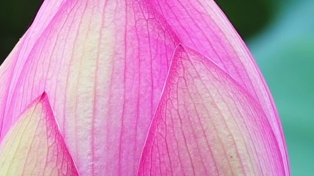 Don’t be Afraid of the Truth