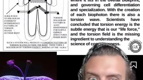 The Secret Energy Within - The Bio-Photon Field Created from Fresh Fruits and Vegetables.