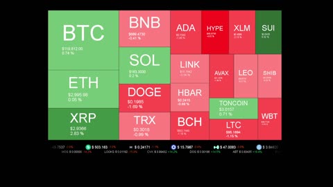 Live Coin Price Watch!