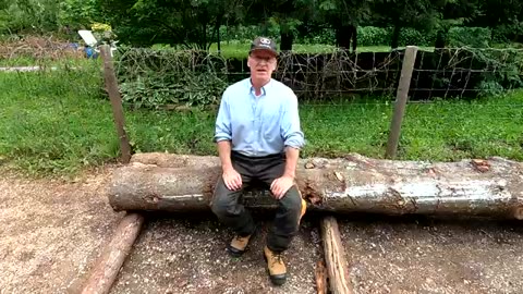 The best way to split a tree at home.