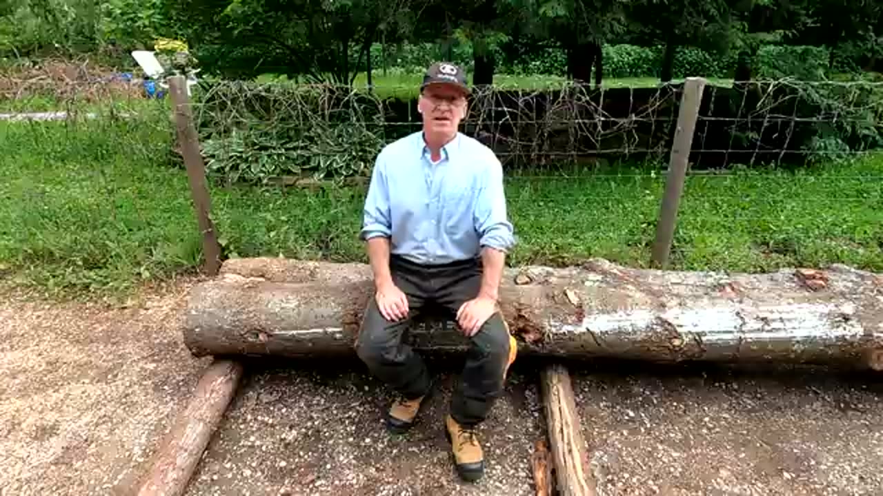 The best way to split a tree at home.