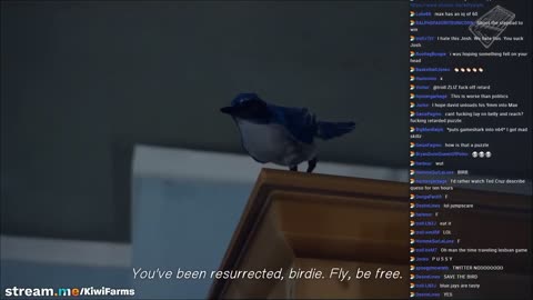 2018-11-06 - Life is Strange Chapter 1 - Bad At Video Games