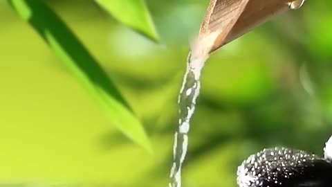 Relaxing Music Bamboo Water Fountain #relaxing #relax #music