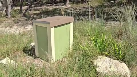 Water Well Setup
