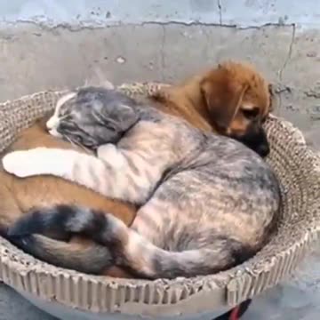 Best friends forever.. 😊