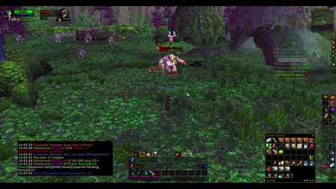 Turtle wow - Melee HC Slow and Steady Hunter - Part 10 - No commentary