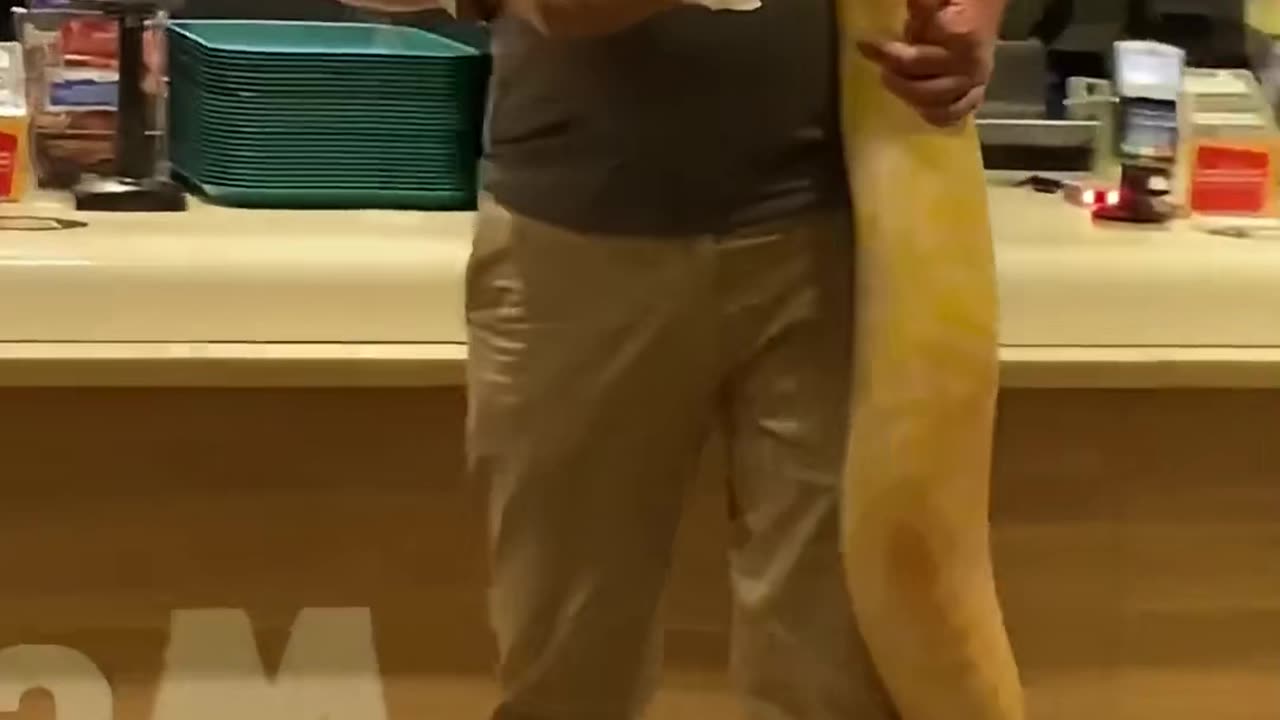 This golden python also looks like it wants to eat hamburgers