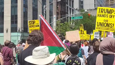 ¡Viva Palestina Libre! ¡ALTO a las deportaciones!