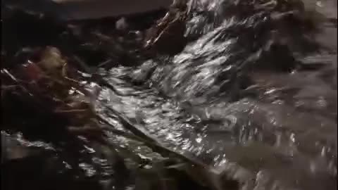 Flash Flooding in Juarez, Mexico