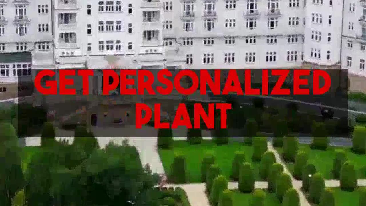 AI Garden Best Practices: Design Your Dream Space with gardenplanbyai.com