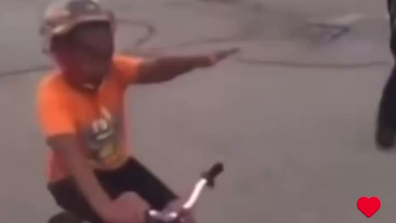Learned Attitude
