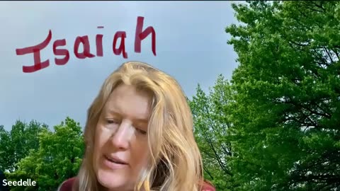 Isaiah 28 1–4 short video Woe to Crown of pride, Drunkards of Ephraim, verdant valley, wine