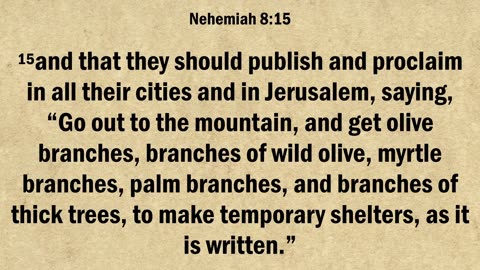 Nehemiah 8
