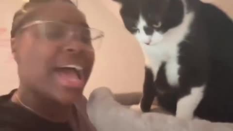 Poor Cat