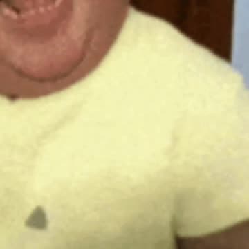 real cat is funny walk