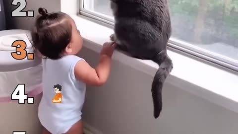 Ranking Best Cats Speaking English Moments