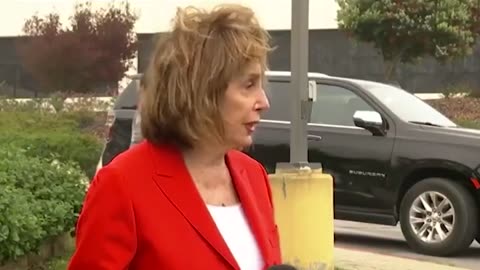 SICK: Pelosi says she's working to legalize sex changes for kids at the "national level" 👎🏻