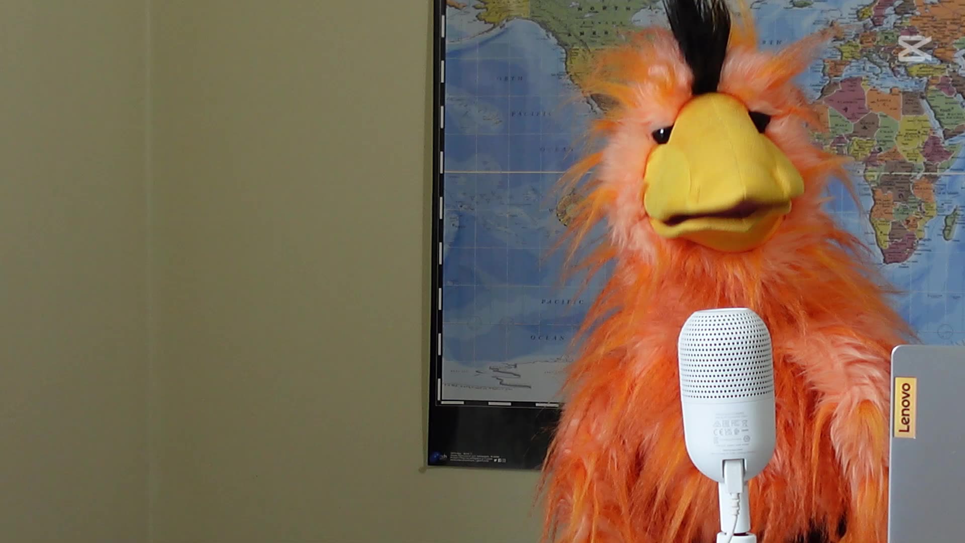 What Is Wrong At CBC?