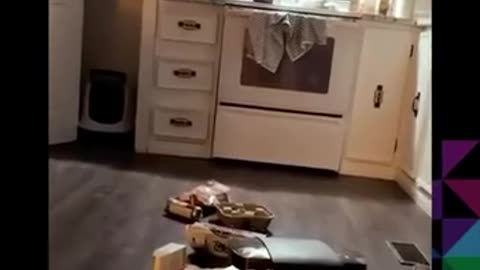 😂😲 The Audacity! | FunFM