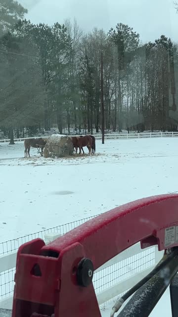Quick drive and Checking up on the Horses
