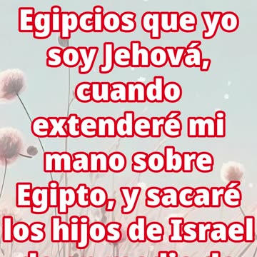 "Egipto Conocerá que Yo Soy el Señor" Exodus 7:5 #shorts #shortvideo #youtube #ytshorts #yt #jesus
